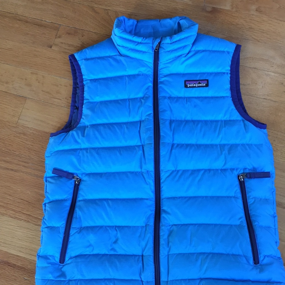 Patagonia Down Sweater Vest